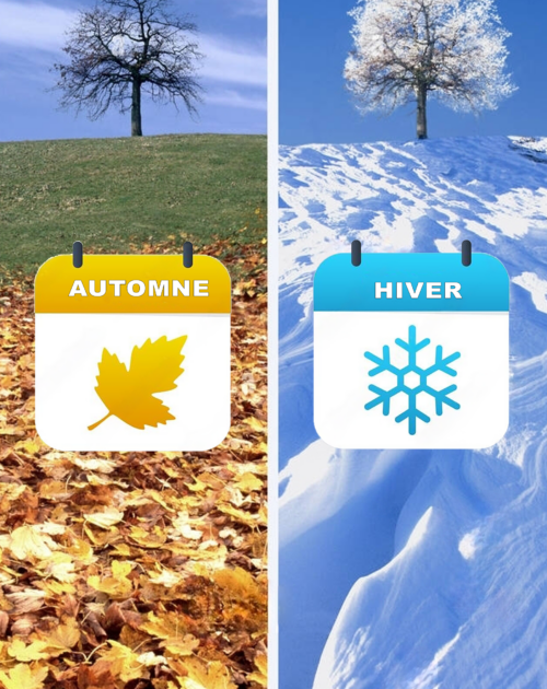 Automne - Hiver